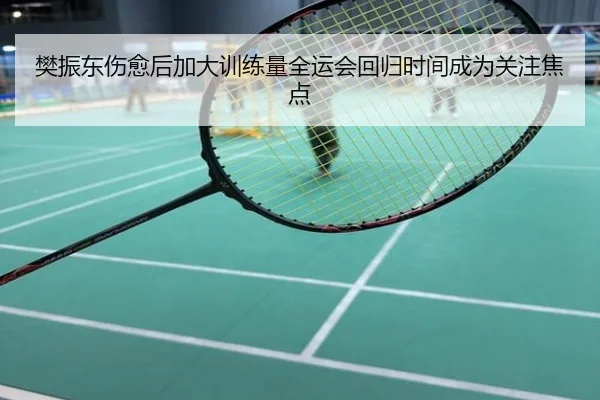 樊振东伤愈后加大训练量全运会回归时间成为关注焦点